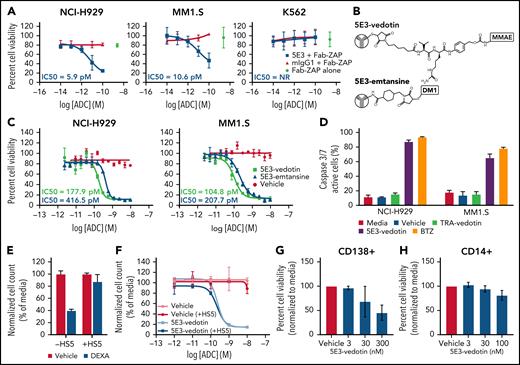 ADCs against SEMA4A are potent and selective in vitro. (A) Fab-ZAP assay in NCI-H929 cells, MM1.S cells, and K562 cells, which do not express SEMA4A, as a control. Cells were incubated with Fab-ZAP alone or with clone 5E3 anti-SEMA4A or with an isotype control. Cell viability was measured by XTT assay at 72 hours. (B) Linker chemistry for 5E3-vedotin and 5E3-emtansine. (C) Dose–response curves for 5E3-vedotin and 5E3-emtansine in NCI-H929 and MM1.S cells. Citrate buffer was used as a control. Cell viability was measured by XTT assay at 72 hours. IC50 values are specified, where the calculation was possible. NR = IC50 was not reached. (D) NCI-H929 and MM1.S cells were treated with media only, citrate buffer (vehicle), 10 nM trastuzumab-vedotin (TRA-vedotin), 10 nM 5E3-vedotin, or 10 nM bortezomib (BTZ) and incubated with IncuCyte Caspase-3/7 apoptosis assay reagent for 72 hours and imaged by using an IncuCyte Live Cell Analysis system. (E) NCI-H929 cells were cocultured ± HS5 and treated with vehicle or dexamethasone (DEXA, 10 µM) for 72 hours. Total cell counts were determined by using Flow-Count Fluorospheres (Beckman Coulter) by flow cytometry and normalized to media-treated controls. (F) NCI-H929 were cocultured with HS5 and treated with either vehicle or 5E3-vedotin. Cell counts were determined as in panel E at 72 hours. CD138+ cells (G) or CD14+ cells (H) from myeloma patients were isolated by using microbeads (Miltenyi Biotec) and incubated with vehicle or 5E3-vedotin. Cell viability was measured by CellTiter-Glo or Annexin V and LIVE/DEAD staining by flow cytometry. Error bars indicate ±SD of a minimum of 3 replicates.
