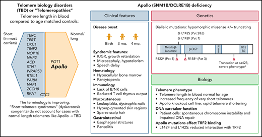 Genetic spectrum of telomeropathies and characteristics of Apollo deficiency. The genes identified thus far as being associated with human telomeropathies (left). Clinical, genetic, and biological features of Apollo deficiency (right). IUGR, intrauterine growth restriction; mo, months; Pat, patient. *Touzot et al.6