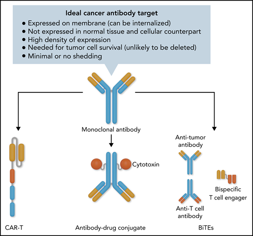 Ideal cancer target for antibody-based immunotherapy with the various formats available once a good target and antibody is developed. Professional illustration by Somersault18:24.