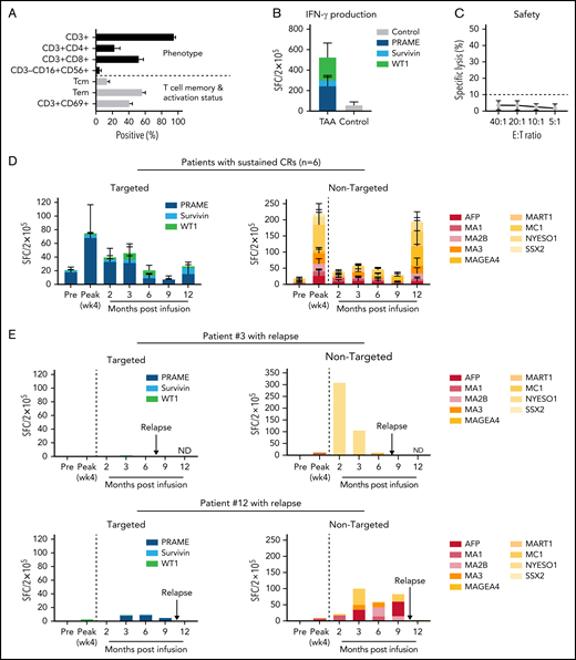 Characterization and in vivo fate of donor-derived mLSTs. (A-C) Characterization of donor-derived mLSTs. (A) Phenotype and memory/activation profile. (B) Specificity of mLSTs as measured by IFNγ ELIspot for 15 products generated using all 3 antigens as a stimulus. Data are shown as mean SFCs ± SEM/2 × 105 and each color represents an individual antigenic specificity. (C) Lack of in vitro mLST cytolytic activity against normal recipient cells at effector/target ratios from 40:1 to 5:1. (D) In vivo behavior of mLSTs in patients who remain in remission (n = 6). Expansion of T cells specific for targeted TAAs (left) and other nontargeted TAAs (right) in patients who responded to therapy. Results are reported as mean SFCs ± SEM/2 × 105 at each specified time point. (E) In vivo behavior of mLSTs in patients who relapsed. Lack of T-cell expansion against either targeted (left) or nontargeted TAAs (right) immediately after infusion in patients 3 and 12 who eventually relapsed. Results are reported as SFC/2 × 105 at each specified time point. Arrows indicate the time of relapse.