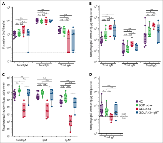HSCT-treated GC/JAK3 patients without immunoglobulin replacement therapy have a decrease in nasopharyngeal secretory IgA. (A) Serum immunoglobulin concentrations in healthy and HSCT-treated SCID patients. (B) Nasopharyngeal concentrations of total IgM, IgD, and IgG in healthy and HSCT-treated SCID patients. (C) Nasopharyngeal concentrations of total IgA and IgA1 and IgA2 in healthy and HSCT-treated SCID patients. (D) Nasopharyngeal concentrations of total IgE in healthy and HSCT-treated SCID patients. Panels A through D: box plots with median ± minimum to maximum. P values were determined with the Kruskal-Wallis test followed by Dunn’s posttest for multiple group comparisons; *P < .05, **P < .005, ***P < .001. n.s., not significant.