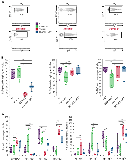 HSCT-treated GC/JAK3 patients without IVIG replacement therapy have decreased IgA-coating of nasopharyngeal bacteria. (A) Representative dot plots of IgA, IgG, and IgD binding to nasopharyngeal microbiota in healthy and HSCT-treated SCID patients. (B) Percentage of IgA/IgG/IgD–coated nasopharynx microbes in healthy and HSCT-treated SCID patients. (C) Double IgA/IgG or IgA/IgD–coated nasopharynx microbes in healthy and HSCT-treated SCID patients. Panels A through C: box plots with median ± minimum to maximum. P values were determined with the Kruskal-Wallis test followed by Dunn’s posttest for multiple group comparisons; *P < .05, **P < .005, ***P < .001. FCS-W, forward scatter, width; n.s., not significant.