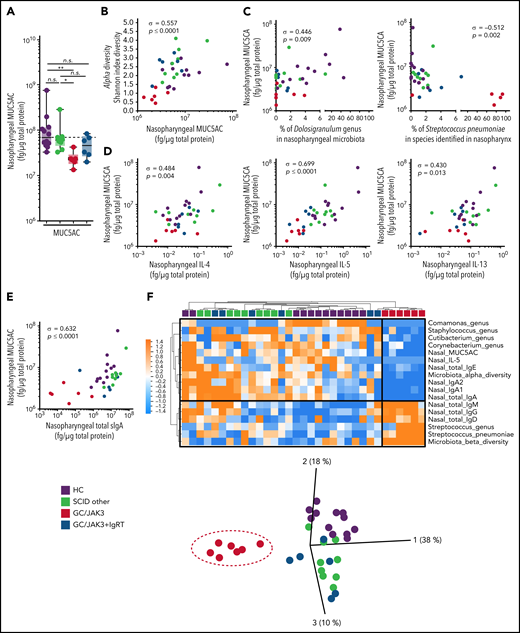 Defective type 2 immunity underlies nasopharyngeal dysbiosis in HSCT-treated GC/JAK3 patients. (A) Nasopharyngeal MUC5AC concentration in HC and HSCT-treated SCID patients. (B) Individual correlation plot between nasopharyngeal MUC5AC concentration and α-diversity. (C) Individual correlation plot between nasopharyngeal MUC5AC concentration and Dolosigranulum genus abundance (%) or S pneumoniae abundance (%). (D) Individual correlation plot between nasopharyngeal MUC5AC concentration and nasopharyngeal IL-4, IL-5, and IL-13 concentration. (E) Individual correlation plot between nasopharyngeal MUC5AC concentration and nasopharyngeal secretory IgA (SIgA). (F) Heatmap representation of statistically different (P < .05) nasopharyngeal features between GC/JAK3 patients and the other patients and the three-dimensional principal coordinate analysis representation. Panel A: box plots with median ± minimum to maximum. P values were determined with the Kruskal Wallis test followed Dunn’s posttest for multiple-group comparisons; *P < .05, **P < .005. In panels B through E, σ represents Spearman coefficient and p the P value. n.s., not significant.