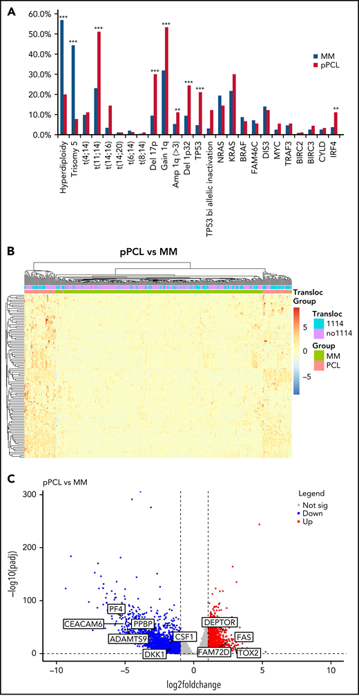 Genomic and transcriptome of malignant plasma cells from primary PCL compared with newly diagnosed multiple myeloma. (A) Incidence of main cytogenetics abnormalities and mutations in 90 primary PCL compared with 907 newly diagnosed MM, ***P < .0001, **P < .005. (B) Unsupervised clustering of 90 primary PCL and 288 newly diagnosed MM based on the expression levels of the 100 most variable genes. (C) Gene expression profiling comparing differentially expressed genes between primary PCL and newly diagnosed MM, with at least twofold change (P < .05, FDR<0.01). (D) GSEA from 90 primary PCL compared with 288 newly diagnosed MM.
