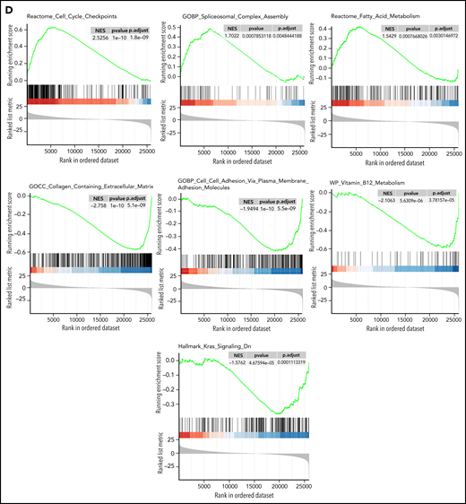 Genomic and transcriptome of malignant plasma cells from primary PCL compared with newly diagnosed multiple myeloma. (A) Incidence of main cytogenetics abnormalities and mutations in 90 primary PCL compared with 907 newly diagnosed MM, ***P < .0001, **P < .005. (B) Unsupervised clustering of 90 primary PCL and 288 newly diagnosed MM based on the expression levels of the 100 most variable genes. (C) Gene expression profiling comparing differentially expressed genes between primary PCL and newly diagnosed MM, with at least twofold change (P < .05, FDR<0.01). (D) GSEA from 90 primary PCL compared with 288 newly diagnosed MM.