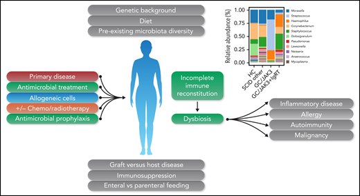 Factors occurring before and during hematopoietic stem cell transplantation may lead to dysbiosis and potentially significant long-term sequelae. Figure 5D, in the article by Goncalves et al that begins on page 2585, showing decreased bacterial diversity, has been incorporated into the figure. GC, gamma chain SCID; HC, healthy control; IgRT, immunoglobulin replacement therapy. Professional illustration by Somersault18:24.
