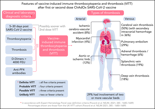 Overview of VITT. Professional illustration by Somersault18:24.