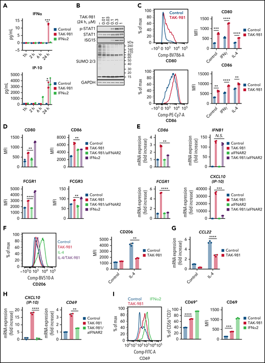 TAK-981 treatment enhances M1 polarization and NK activation in an IFN1-dependent manner. (A) Amount of IFNβ and IP-10 protein in the supernatant of 1 μM TAK-981- or 10 kU/mL IFNα2-treated hMDM at indicated time points (mean with SD; n = 3 biological replicates, 2-tailed unpaired Welch’s t test). (B) Western blots of indicated proteins in TAK-981–treated hMDM at 24 hours. (C) Representative flow cytometry histogram and median fluorescence intensity (MFI) of indicated proteins in 50 ng/mL IFNγ (M1 polarizing stimulation)-, 20 ng/mL IL-4 (M2 polarizing stimulation)-, and/or 1 μM TAK-981–treated hMDM at 48 hours (mean with SD; n = 3 biological replicates, 2-tailed unpaired Welch’s t test). (D) MFI of indicated proteins in 20 μg/mL anti-IFNAR2 antibody (aIFNAR2)-, 1 μM TAK-981-, and/or 10 kU/mL IFNα2-treated hMDM at 48 hours (mean with SD; n = 3 biological replicates, 2-tailed unpaired Welch’s t test). (E) mRNA expression of indicated genes in 20 μg/mL aIFNAR2- and/or 1 μM TAK-981–treated hMDM at 24 hours (mean with SD; n = 3 biological replicates, 2-tailed unpaired Welch’s t test). (F) Representative flow cytometry histogram and MFI of CD206 in 20 ng/mL IL-4- and/or 1 μM TAK-981–treated hMDM at 48 hours (mean with SD; n = 3 biological replicates, 2-tailed unpaired Welch’s t test). (G) mRNA expression of CCL22 in 20 ng/mL IL-4- and/or 1 μM TAK-981–treated hMDM at 24 hours (mean with SD; n = 3 biological replicates, 2-tailed unpaired Welch’s t test). (H) mRNA expression of IP-10 and CD69 in 20 μg/mL aIFNAR2- and/or 1 μM TAK-981–treated human NK cells at 24 hours (mean with SD; n = 3 biological replicates, 2-tailed unpaired Welch’s t test). (I) Representative flow cytometry histogram and percentage of CD69+ cells or MFI of CD69 in 1 μM TAK-981- or 10 kU/mL IFNα2-treated human NK cells at 24 hours (mean with SD; n = 3 biological replicates, 2-tailed unpaired Welch’s t test). *P < .05, **P < .01, ***P < .001, ****P < .0001. Experiment was repeated using hMDM or human NK cells generated from at least 2 healthy PBMC donors. mRNA, messenger RNA; N.S., not significant (P > .05); PBMC, peripheral blood mononuclear cells; SD, standard deviation.