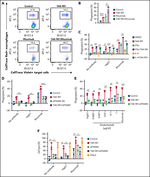 TAK-981 treatment augments rituximab-mediated macrophage phagocytosis and NK cell cytotoxicity in an IFN1-dependent manner. (A) Representative flow cytometry scatter plots. Macrophages are defined as CellTrace Red+ events and Daudi cells as CellTrace Violet+ events. Percent of CellTrace Red+Violet+ in CellTrace Violet+ events corresponds to percent of phagocytosed Daudi cells in total Daudi cells. (B) Phagocytic activity of 1 μM TAK-981–treated hMDM against Daudi cells in the presence of 1 μg/mL human IgG1 (hIgG1) or rituximab at an effector to target (E:T) ratio of 1:1 (mean with SD; n = 3 biological replicates, 2-tailed unpaired Welch’s t test). (C) Phagocytic activity of 50 ng/mL IFNγ-, 20 ng/mL IL-4-, and/or 1 μM TAK-981–treated hMDM against Daudi-KILR cells in the presence of hIgG1 or rituximab at an E:T ratio of 4:1 (mean with SD; n = 3 biological replicates, 2-tailed unpaired Welch’s t test). (D) Phagocytic activity of 20 μg/mL aIFNAR2- and/or 1 μM TAK-981–treated hMDM against Daudi-KILR cells in the presence of human IgG1 or rituximab at an E:T ratio of 4:1 (mean with SD; n = 3 biological replicates, 2-tailed unpaired Welch’s t test). (E) Phagocytic activity of 20 μg/mL aIFNAR2- and/or 1 μM TAK-981–treated hMDM against Daud-KILR cells in the presence of 1 μg/mL human IgG1, daratumumab, or 1 μg/mL rituximab at an E:T ratio of 4:1 (mean with SD; n = 3 biological replicates, 2-tailed unpaired Welch’s t test). (F) Cytotoxicity of 20 μg/ml aIFNAR2-, 1 μM TAK-981-, and/or 10 kU/mL IFNα2-treated human NK cells against Daudi-KILR cells in the presence of 1 μg/mL human IgG1 or 1 μg/mL rituximab at an E:T ratio of 4:1 (mean with SD; n = 3 biological replicates, 2-tailed unpaired Welch’s t test). *P < .05, **P < .01, ***P < .001. Experiment was repeated using hMDM or human NK cells generated from at least 2 healthy PBMC donors. SD, standard deviation; N.S., not significant (P > .05).
