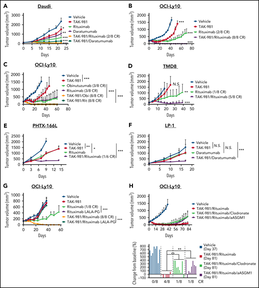 Antitumor activity of TAK-981 combined with monoclonal antibodies in xenograft models. (A) Tumor volumes in Daudi-bearing mice treated with TAK-981 (7.5 mg/kg, biweekly), rituximab (3 mg/kg, weekly), and/or daratumumab (7.5 mg/kg, biweekly) as indicated for 3 weeks (mean with SD; n = 8 mice per group in the representative study, 2-tailed unpaired Welch’s t test). The P value of the synergy score was P < .001. (B) Tumor volumes in OCI-Ly10–bearing mice treated with TAK-981 (7.5 mg/kg, biweekly) and/or rituximab (1 mg/kg, weekly) as indicated for 2 weeks (mean with SD; n = 8 mice per group in the representative study, 2-tailed unpaired Welch’s t test). The P value of the synergy score was P < .001. (C) Tumor volumes in OCI-Ly10–bearing mice treated with TAK-981 (7.5 mg/kg, biweekly), obinutuzumab (Obi, 1 mg/kg, weekly), and/or rituximab (Rit, 1 mg/kg, weekly) as indicated for 2 weeks (mean with SD; n = 8 mice per group in a single experiment, 2-tailed unpaired Welch’s t test). (D) Tumor volumes in TMD8-bearing mice treated with TAK-981 (15 mg/kg, biweekly) and/or rituximab (3 mg/kg, weekly) as indicated for 2 weeks (mean with SD; n = 8 mice per group in the representative study, 2-tailed unpaired Welch’s t test). The P value of the synergy score was P = .08 (additive combination effect). (E) Tumor volumes in PHTX-166L–bearing mice treated with TAK-981 (5 mg/kg, weekly) and/or rituximab (5 mg/kg, weekly) as indicated for 2 weeks (mean with SD; n = 6 mice per group in the representative study, 2-tailed unpaired Welch’s t test). The P value of the synergy score was P < .05. (F) Tumor volumes in LP-1–bearing mice treated with TAK-981 (7.5 mg/kg, biweekly) and/or daratumumab (2.5 mg/kg, biweekly) as indicated for 5 weeks (mean with SD; n = 8 mice per group in the representative study, 2-tailed unpaired Welch’s t test). The P value of the synergy score was P < .05. (G) Tumor volumes in OCI-Ly10–bearing mice treated with TAK-981 (7.5 mg/kg, biweekly), rituximab (3 mg/kg, weekly), and/or rituximab with LALA-PG mutations (3 mg/kg, weekly) as indicated for 2 weeks (mean with SD; n = 8 mice per group in a single experiment, 2-tailed unpaired Welch’s t test). (H) Tumor volumes in OCI-Ly10–bearing mice were treated with TAK-981 (7.5 mg/kg, biweekly), rituximab (1 mg/kg, weekly), clodronate liposome (200 µL per mouse at a first dose and 100 µL per mouse at subsequent doses, biweekly), and/or anti-asialo GM1 (aASGM1, 0.25 mg per mouse, weekly) as indicated for 2 weeks (mean with SD; n = 8 mice per group in the representative study). Bar graphs show percent change in tumor volumes from baseline on the indicated day of measurement (individual value; n = 8 mice per group in the representative study, 2-tailed unpaired Welch’s t test). *P < .05, **P < .01, ***P < .001. The number of mice achieved CR per the number of total mice in the group is shown. At least 2 similar experiments were performed unless otherwise specified. SD, standard deviation; N.S., not significant (P > .05).