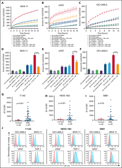 KD of B7-H3 expression induced NK cell-mediated apoptosis. (A-C) Time kinetics graph of B7-H3 KD cells and scrambled shRNA MV4-11 (A), U937 (B), and OCI-AML3 (C) AML cells cultured with rhB7-H3 protein in the presence or absence of NK cells at a 4:1 NK:target cell ratio. Leukemic cells were labeled with CytoLight red and annexin V green reagents. Apoptosis of leukemic cells was assessed via annexin V green staining every hour for up to 18 hours. (D-F) Bar graphs showing the percentage of annexin V positive cells (green staining) in B7-H3 KD MV4-11 at 18 hours (D), U937 at 18 hours (E), and OCI-AML3 at 14 hours (F) AML cells and scrambled shRNA control cells treated with rB7-H3 protein and NK cells at a 2:1 ratio. Data are plotted as mean values with error bars representing standard error (Student unpaired t test). (G-I) B7-H3 expression in AML patient samples and controls using our 3 anti-B7–H3 mAbs. PBMCs from AML patients and controls were stained with primary anti-B7–H3 mAbs T-1A5, HEK5-1B3, and 58B1 and secondary conjugated goat anti-mouse IgG (Alexa Fluor 647). DAPI was used to exclude dead cells, and B7-H3 expression was measured by flow cytometry (Wilcoxon rank-sum test). (J) Overlay plots showing cell-surface staining of B7-H3 in AML cell lines OCI-AML3, U937, MV4-11, and THP-1 using our anti-B7–H3 mAbs T-1A5, HEK5-1B3, and 58B1 measured by flow cytometry. MFI: mean fluorescence intensity. ***P < .0001.