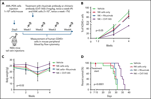 ChT-1A5 in combination with NK cells inhibits tumor growth via antibody-dependent cellular cytotoxicity in AML PDX model. (A) Experimental design. Two million AML PDX cells were injected into NSG mice via the TV. After 1 week, mice were treated with ChT1A5 or rituximab at 1 mg/kg twice weekly via IP injections and with NK cells (10 × 106) via TV twice weekly. (B) AML PDX growth in mouse PB. Mouse blood samples were analyzed weekly for human CD45+ cells by flow cytometry. When human CD45+ cells reached >95% or when mice became moribund (whichever occurred first), mice were killed. (C) Bodyweight of leukemia-bearing mice treated with ChT-1A5 or rituximab and NK cells; weight was measured once a week. (D) Kaplan-Meier survival plot representing OS rates in mice treated with ChT-1A5 or rituximab and NK cells.
