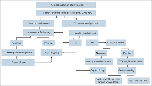 Diagnostic algorithm in symptomatic patients. Ideally, AL amyloidosis should be diagnosed at a presymptomatic stage. When amyloidosis is suspected, the first step should be searching for a monoclonal protein with sensitive technology. Patients with suspect cardiac involvement in whom monoclonal components are not detected may undergo a biopsy-free diagnostic process.58 Scintigraphy with bone-seeking tracers, such as DPD, PYP, and HMDP, can diagnose ATTR amyloidosis without a biopsy in the absence of a plasma cell dyscrasia, but cardiac uptake can be seen also in patients with AL amyloidosis. In the presence of a monoclonal component biopsy-based diagnosis and typing with mass spectrometry,102 or, in highly specialized laboratories, with immunohistochemistry or immuno-electron microscopy102 are mandatory. Amyloid deposits can be demonstrated with minimally invasive procedures, such as biopsy of abdominal fat, bone marrow, and minor salivary glands. Abdominal fat aspirate has excellent feasibility and good sensitivity (∼85% when associated with bone marrow biopsy) in AL amyloidosis.103 If less invasive biopsies are negative, a biopsy of an affected organ will typically be required. Genetic testing allows discrimination between hereditary and wild-type TTR amyloidosis and identification of rarer hereditary variants. *In patients with a monoclonal protein, amyloid deposits should be searched also in the bone marrow biopsy. DPD, scintigraphy with 99mTc 3,3-diphosphono1,2-propanodicarboxylic acid; FLC, circulating free light chains; HMDP, scintigraphy with 99mTc-hydroxymethylene diphosphonate; PYP, scintigraphy with 99mTc-pyrophosphate; SIFE, serum immunofixation electrophoresis; UIFE, urine immunofixation electrophoresis.