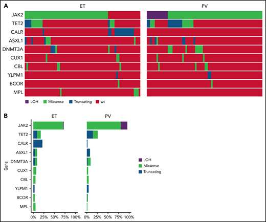 Mutational analysis of patients treated in MPD-RC 112 trial. (A) Oncoprint of baseline mutations and (B) mutation frequency of patients enrolled in the study.