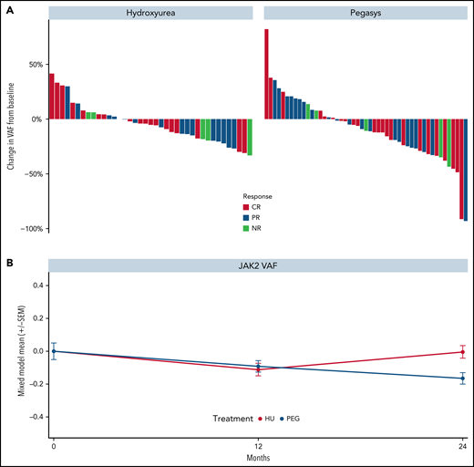 Kinetics of JAK2V617F allele burden of patients treated in the MPD-RC 112 trial. (A) Maximum change in JAK2V617F allele burden from baseline by response status. (B) JAK2V617F allele burden over time (*P < .05). Baseline (n = 117), 12-month (n = 97), and 24-month (n = 52) allele burden values were included in the mixed model.
