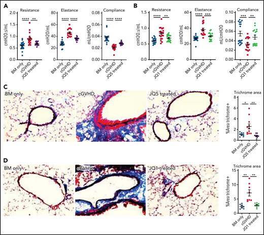 JQ5 and JQ1 treat murine cGVHD/BO. Results are from BO cGVHD transplants. B10.BR mice were conditioned with 120 mg/kg Cytoxan (cyclophosphamide) (days −3, −2) and 7.6 Gy total body irradiation (TBI) (day −1). On day 0, recipients received 10 × 106 purified BM cells ± 73.5 × 103 B6 purified T cells from C57BL/6. Groups included a BM-only negative control, a WT BM and T-cell–positive control, and mice that were given each treatment either JQ5 (75 mg/kg 3×/wk) or JQ1 (50 mg/kg 3× per week) from day 28 to day 49 posttransplant. Results shown are pooled from 3 transplant replicates. Results of pulmonary function tests taken on day 49 posttransplant include measures of resistance, elastance, and compliance. Significant improvement in pulmonary function across multiple parameters was observed with both JQ5 (A; n = 22/BM-only, n = 17/cGVHD, n = 15/JQ5) and JQ1 (B; n = 18/BM-only, n = 20/cGVHD, n = 18/JQ1) treatment. Representative images of cryopreserved lung sections from mice 49 days posttransplant. (C-D) Sections were stained with Masson trichrome and analyzed for collagen deposition. Quantification of the trichrome positive area is in the furthest right panel. This deposition is significantly reduced in both the JQ5-treated mice (C; n = 8/BM-only, n = 11/cGVHD, n = 8/JQ5) and the JQ1 treated mice (D; n = 7/BM-only, n = 8/cGVHD, n = 8/JQ1). (E-F) Sections were stained with anti IgG FITC and DAPI and show a reduction of IgG+ tissue in both JQ5-treated mice (E; n = 5/BM-only, n = 5/cGVHD, n = 4/JQ5) and the JQ1-treated mice (F; n = 5/BM-only, n = 5/cGVHD, n = 4/JQ1). Quantification of FITC+ area is shown in panels furthest to the right. All images are at ×200 magnification. Statistics shown are results of an unpaired t test with Bonferroni corrected P values when appropriate. *P < .05, **P < .01, ***P < .001, ****P < .0001.