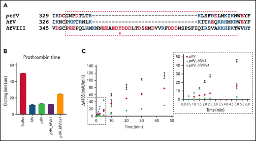 Effect of ptfV chimeric variants on prothrombin time and thrombin generation in fV-depleted human plasma. (A) Sequence alignment of the a1-loop regions of ptfV, hfV, and hfVIII with 4 flanking residues to either side is shown (* indicates sulfation). (B) Prothrombin times were determined in fV-depleted human plasma before and after spiking in the ptfV chimeric variants (ptfV_hfVa1 and ptfV_hfVIIIa1) and ptfV and B-domainless hfV as controls. (C) Thrombin generation was measured in a purified system using human prothrombin, ptfXa, and ptfV or the 2 chimeric variants by the chromogenic assay. Inset shows early time points between 0 and 5 minutes used in calculating initial rates. mAu, milli–absorbance unit.