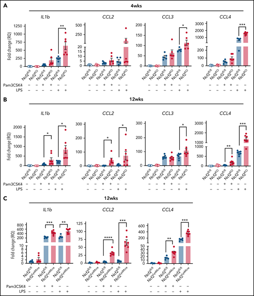 AMs from mice with global or LysMCre-mediated deletion of NOX2 have increased responses to TLR stimulation. (A-B) AMs isolated from BAL of Ncf2fl/fl and Ncf2KO mice were stimulated with Pam3CSK4 or LPS, and gene expression was assayed by qRT-PCR in 4-week-old (A) and 12-week-old (B) mice. (C) AMs isolated from BAL of 12-week-old Ncf2fl/fl and Ncf2LysMCre mice were stimulated with Pam3CSK4 or LPS, and gene expression was assayed by qRT-PCR. Bar graph data are expressed as the mean ± standard error of the mean. Experiments were repeated at least twice. The Student t test was performed for samples distributed between 2 groups. *P < .05; **P < .01; ***P < .001; ****P < .0001.