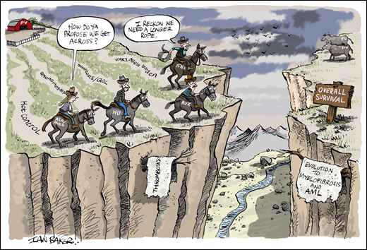 The assessment gap in PV. Clinical trial endpoints such as hematocrit (Hct) control, splenomegaly, symptoms/quality of life (QOL), and JAK2 V617F allele burden are shorter-term clinical trial endpoints for which higher-level evidence has been obtained with randomized trials evaluating aspirin/phlebotomy, hydroxyurea (HU), ruxolitinib (RUX), and pegylated interferons (IFNs). However, endpoints with lower-event rates (eg, thrombosis) or longer-horizon outcomes such as evolution to myelofibrosis (MF) and acute myeloid leukemia (AML), and survival cannot be readily assessed within the timeframe of such trials. Therefore, bridging this data divide in the setting of a chronic myeloid neoplasm such as PV requires reliance on aggregate data from surrogate studies (eg, large retrospective and real-world observational studies and registry analyses). Professional illustration by Ian Baker; figure conceived by J.G.