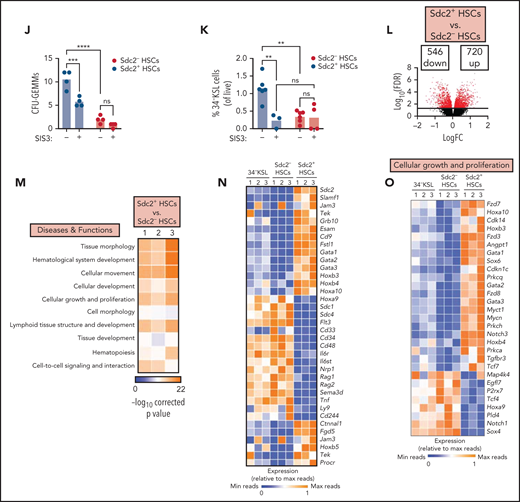 Syndecan-2 regulates HSC quiescence through Cdkn1c. Representative cell cycle analysis of shSdc2 Clone #1–treated (A) and shSdc2 Clone #2–treated (B) and shCtrl-treated Sdc2+34–KSL cells. (C) Percentages of 34–KSL cells in G0, G1, and G2/S/M phases in each group (n = 4-5 replicates per group). (D) Quantitative reverse transcription polymerase chain reaction analysis for the expression of Cdkn1c in Sdc2+ and Sdc2– BM 34–KSL cells treated with shCtrl, shSdc2, shCdkn1c, or shSdc2 and shCdkn1c (n = 3-12 replicates per group). (E) Quantitative reverse transcription polymerase chain reaction analysis for the expression of Cdkn1a, Cdkn1b, and p16 in Sdc2+ and Sdc2– BM 34–KSL cells treated with shCtrl, shSdc2, shCdkn1c, or shSdc2 and shCdkn1c (n = 3-12 replicates per group). (F) Numbers of CFU-GEMMs from 250 Sdc2+ HSCs treated with shCtrl, shSdc2, shCdkn1c, or shSdc2 + shCdkn1c. (G) Percentages of Sdc2+ HSCs in G0 after treatment with shSdc2 or shCtrl and 5 µM SIS3 or vehicle for 24 hours (n = 3-6 replicates per group). (H) Percentages of CD150+CD48–34–KSL LT-HSCs in G0, G1, and G2/S/M phases from Ki-67/7-AAD analysis (n = 3-4 replicates per group). (I) At left, representative flow cytometric analysis showing phospho-SMAD3 expression in 34–KSL, 34–KSL Sdc2–, and 34–KSL Sdc2+ HSCs as baseline and after TGFβ stimulation for 30 minutes; at right, quantification of the percent phospho-SMAD3 cells within each population. (J) Quantification of CFU-GEMMs from 100 Sdc2+ HSCs or Sdc2– HSCs treated with 5 µM SIS3 or vehicle (n = 5 mice, pooled for sort; n = 4 replicates per group). (K) Percent 34–KSL cells (percentage of live cells) after SIS3 treatment of Sdc2+ and Sdc2– HSCs for 7 days in TSF media (n = 3-6 replicates per group). (L) Volcano plots depicting differentially expressed genes in Sdc2+ HSCs vs Sdc2– HSCs. Differentially expressed genes were detected with parameters of P < .05, and fold change (FC) >2 or less than −2. (M) Heat map depicting Ingenuity Pathway Analysis comparing Sdc2+ HSCs and Sdc2– HSCs (n = 10 mice pooled to sort each population; n = 3 replicates per population; comparisons made between individual samples). (N) Heat map depicting selected differentially expressed genes within Hematological System Development, and (O) Cell Growth and Proliferation genes from Ingenuity Pathway Analysis of 34–KSL HSCs, Sdc2– HSCs, and Sdc2+ HSCs (n = 10 mice pooled to sort each population; n = 3 replicates per population). Error bars = standard error of the mean; statistics denote 2-way analysis of variance followed by unpaired Student t test. *P < .05, **P < .01, ***P < .001, ****P < .0001. FDR, false discovery rate; ns, not significant; SSC-A, side scatter area.