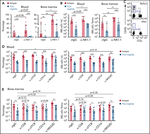 The importance of several lymphocyte populations for the ability of 7C6 in inhibiting AML. (A-B) Antibody-mediated depletion of NK cells does not abrogate the 7C6’s efficacy against AML. C57BL/6 mice were inoculated IV with 2 × 106 C1498-MICB (day 0) and treated via IP injections with 200 μg 7C6-mIgG2a or isotype on days 5 and 6. On day 14, mice were treated with just 100 μg of 7C6-mIgG2a or isotype. Furthermore, mice were treated with 100 μg control IgG (cIgG) or α-NK1.1 on days −1, 0, 7, and 14. Analysis of leukemia cells in the blood and bone marrow were performed on day 20 by flow cytometry. (A) Frequency of C1498-MICB in the blood and bone marrow. (B) Absolute numbers of C1498-MICB in the blood and bone marrow. (C) Validation of NK cell depletion. A healthy mouse was bled via submandibular puncture and treated with 0.1 mg of α-NK1.1. Two days later, the mouse was euthanized and its blood collected for analyses. NK cells are the CD49b+ and CD3ε− cells. The gatings of lymphocytes, doublets discrimination, and identification of viable CD45.2+ cells (not shown) antecede the plots shown in panel C. (D-E) Antibody-mediated depletion/blockade of T cells and NKG2D. C57BL/6 mice were treated with the indicated depleting/blocking antibodies on days −1, 0, 7, and 14. The mice were also inoculated IV with 2 × 106 C1498-MICB (day 0) and treated with 0.2 mg 7C6-mIgG2a or isotype control on days 5 and 6. On day 14, mice received only 0.1 mg of 7C6-mIgG2a or isotype. Analyses of leukemia cells (D) in the blood and (E) bone marrow were done by flow cytometry 3 weeks after leukemia cell inoculation. Data pooled from (A-B,D-E) 2 independent experiments or (C) representative of 2 mice and 2 independent experiments. *P < .05; **P < .01; ***P < .001, as calculated (A-B,D-E) with Mann-Whitney tests comparing 2 treatment groups at a time. (A-B,D-E) Median ± interquartile range.
