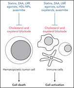 Graphical abstract for: Targeting cholesterol homeostasis in hematopoietic malignancies;