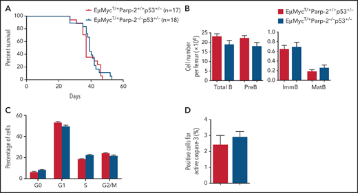 p53 haploinsufficiency abolishes the protective effect of PARP-2 deficiency in the development of B lymphomas in Eμ-MycT/+ mice. (A) Kaplan-Meier curves comparing B-cell lymphoma–free survival of Eμ-MycT/+Parp-2+/+p53+/− and Eμ-MycT/+Parp-2−/−p53+/− mice. (B) Bar graph displaying absolute number of total, pre-B, immature (ImmB), and mature (MatB) BM B cells in Eμ-MycT/+Parp-2+/+p53+/− and Eμ-MycT/+Parp-2−/−p53+/− mice. (C) Graph showing the percentage of BM pre-B cells for each genotype in G0, G1, S, and G2/M phases of the cell cycle. (D) Bar graph showing the percentage of cells positive for active caspase-3 for each genotype. Values represent mean ± SEM obtained from at least 6 mice per genotype.
