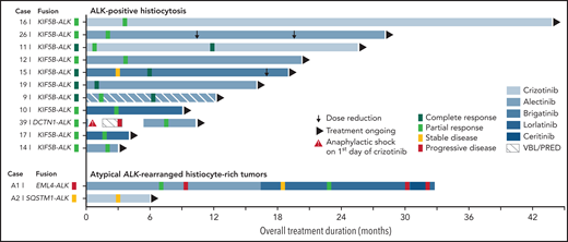 Swimmer plot of outcomes in patients with ALK-positive histiocytosis (n = 11) or atypical ALK-rearranged histiocyte-rich tumors (n = 2) treated with ALK inhibition. ALK inhibition was initiated at timepoint zero. Median time on ALK inhibition was 16 months in ALK-positive histiocytosis patients (range 3-43 months). Responses were measured by CT, MRI, and/or PET-CT in all patients. Dose reductions were 67% (90 mg brigatinib/d → 30 mg/d) and 50% (1200 mg alectinib/d → 900 mg/d → 600 mg/d) in Case 15 and Case 26, respectively. Case 39 developed a severe (grade 3) anaphylactic shock on the first day of crizotinib administration, requiring the patient to be resuscitated. The patient subsequently received vinblastine/prednisone-based chemotherapy with progressive disease and then switched to alectinib with objective response after 2 months. Case A1 developed a subcutaneous gluteal metastasis during treatment with alectinib (supplemental Figure 3C), which was found to harbor an ALK p.I1171N mutation, a mutation known to confer secondary resistance to alectinib.78,79 Therefore, the patient switched to lorlatinib and later to ceritinib after repeated progressive disease. Due to continuing progressive disease during treatment with ceritinib, the patient recently stopped ceritinib, received 3 weeks of bridging therapy with lorlatinib during antalgic radiotherapy of 2 metastases, and subsequently started vinblastine/prednisone-based chemotherapy. VBL/PRED, vinblastine and prednisone-based chemotherapy.