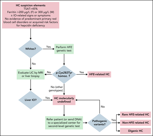 Proposal of an algorithm for the diagnosis of HC, from clinical/biochemical and imaging studies to molecular confirmation. Important note: in Whites, HFE genotyping is indicated with the specific purpose of detecting p.Cys282YTyr homozygosity (homoz.) and, if confirmed, to recommend appropriate preventive treatment by phlebotomies. Asian, African, and Native American subjects with defined HC phenotype could be directly referred to second-level genetic testing. In populations with a frequent component of Northern European ancestry, such as African Americans and Hispanics, there may still be a role for HFE genetic testing.