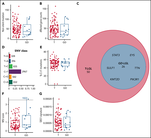 Mutational characteristics of T and GD LGL leukemia subtypes. (A-B) Nonsilent mutation burden and affected gene counts in T and GD subtypes. (C) Euler diagram of genes that are mutated in at least 3 patients, sectioned by LGL subtypes. Genes that are mutated in 4 or more patients and are shared between T and GD-LGL (blue area) are labeled. (D-E) Single nucleotide variant class in the cohort and percent C>T mutation comparison in T and GD subtypes. (F-G) Microsatellite instability scores and SBS1 signature contributions in T and GD subtypes.