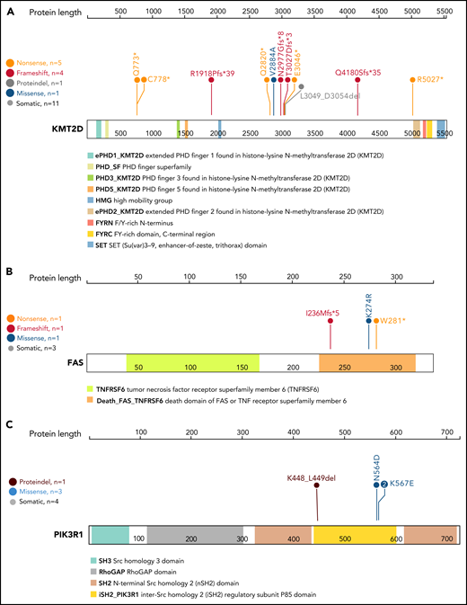 Lollipop plot of KMT2D, FAS, and PIK3R1 genes. Lollipop plot of (A) KMT2D, (B) FAS, and (C) PIK3R1 mutations detected in the 105-patient LGL leukemia cohort. Annotations for individual domains are described at the bottom. Domain information was curated from simple modular architecture research tool and conserved domain database.