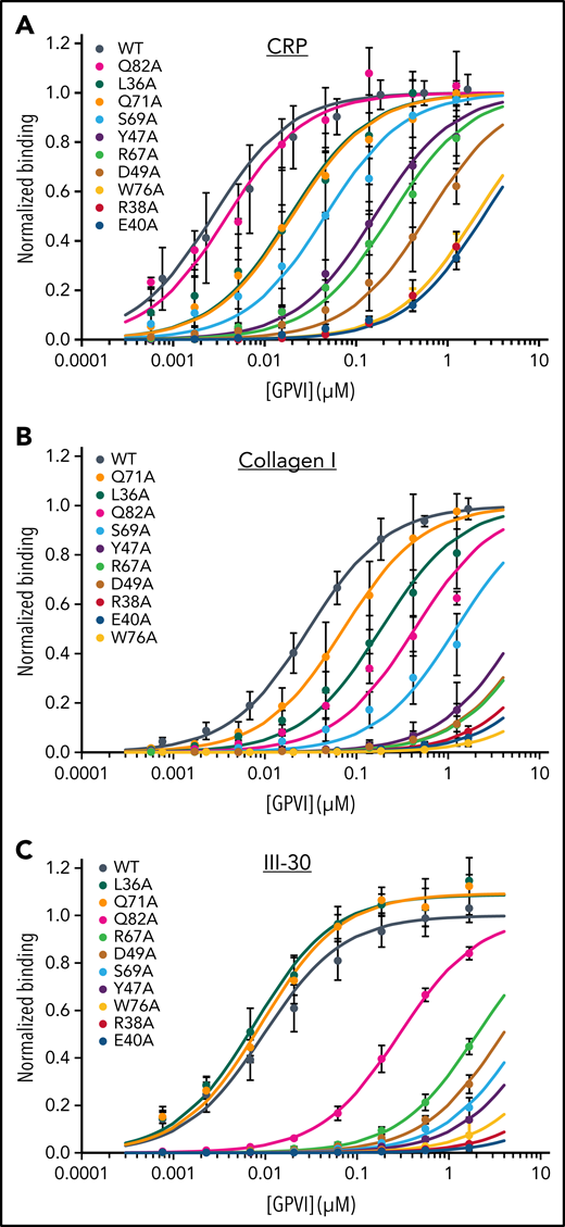 Mutational analysis of GPVI collagen binding. Binding of GPVI mutants (colored series) to (A) CRP, (B) fibrillar collagen I, and (C) Toolkit-peptide III-30 as measured in solid-state binding assays. Data measured as A450 is normalized to the binding of WT GPVI (black series). All data points represent the mean ± SD of at least 3 independent experiments. Binding curves are fitted to the equation Abs = (Bmax × c)/(KD,app + c) using nonlinear regression in SigmaPlot, where c is the GPVI concentration (μM). See also supplemental Figure 6.