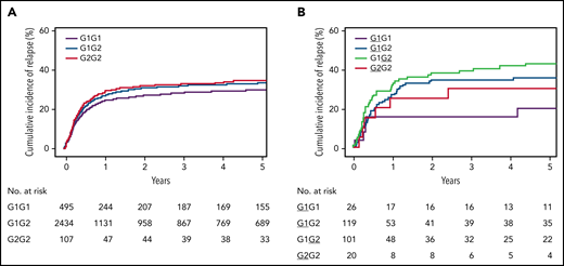 Cumulative incidence of relapse. (A) Probability of relapse in 3208 HLA-10/10-matched patients with 2 unique HLA-DQ molecules according to genotype. (B) Probability of relapse in 324 patients with 1 mismatched HLA-DQ molecule, according to patient genotype and mismatched molecule. The mismatches are underlined.