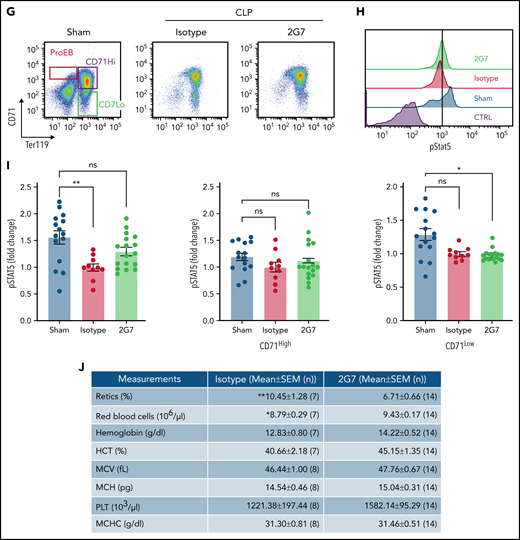 Anti-HMGB1 monoclonal antibody rescues EPO signaling in murine model of sepsis. (A) RAGE expression levels measured by western blot in the bone marrow of WT vs Rage−/− mice. (B) pSTAT5 levels measured by western blot in ex vivo EPO stimulation assays in the total nucleated bone marrow population from WT and Rage−/− in the presence or absence of HMGB1. (C) Quantification of the levels of pSTAT5 in the indicated conditions expressed as fold change compared with pSTAT5 levels in WT in the absence of HMGB1. (D) Complete blood counts in WT and Rage−/− mice 6 days after LPS treatment. (E) Seven days after HMGB1 treatment in vivo, pSTAT5 and pS6 levels measured by western blot in ex vivo EPO stimulation assays in the total nucleated bone marrow population from WT and Rage−/− in the presence or absence of an additional dose of HMGB1. Sepsis was induced by cecal ligation and puncture (CLP) or not (eg, sham) in groups of mice. At 9 days after sepsis induction, mice were treated with isotype IgG or neutralizing anti-HMGB1 mAb (2G7) for 3 consecutive days. All data were collected at D21 after the CLP procedure. (F) Schematic of experimental design. (G) Representative flow cytograms with gating strategy of bone marrow terminal erythroid differentiation using Ter119 and CD71 surface markers. (H) Representative histograms of bone marrow ProEB pSTAT5 levels by phosphoflow. (I) Quantification of pSTAT5 levels in the ProEB, CD71High and CD71Low populations from bone marrow by phosphoflow expressed as fold change compared with pSTAT5 levels in mice treated with the isotype control. (J) Red cell and platelet indices of isotype and 2G7-treated CLP mice. Data presented as mean ± SEM. (C-D,I) One-way ANOVA with Tukey’s post hoc test: *P < .05; ns, not significant. (J) Unpaired, 2-tailed Student t test: **P < .01; ns, not significant.