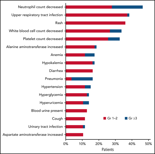 Most common treatment-emergent adverse events (≥10%) regardless of causality.