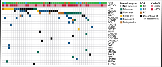 Mutation landscape in 54 Chinese patients with R/R MCL.