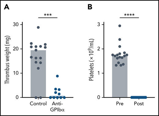 Thrombocytopenia protects mice from VT. WT mice were treated with anti-GPIbα (platelet-depleting) antibody. (A) Thrombus weight after 48 hours of IVC flow restriction. (B) Flow cytometric analysis of the peripheral platelet count before (Pre) and after (Post) anti-GPIbα treatment. Only mice with peripheral platelet counts ≤1% of control mice were subjected to the stenosis model. Dots represent individual mice, bars indicate medians. ***P < .001; ****P < .0001.