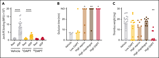 Inhibitors of platelet ADP and thromboxane A2 signaling provide limited protection against VT. WT mice were treated with aspirin and/or clopidogrel to inhibit Cox1 and P2Y12, respectively, and subjected to FeCl3-induced carotid artery thrombosis or to IVC stenosis for 48 hours. (A) Flow cytometric analysis of integrin activation response (JON/A-PE binding) to ADP in blood from mice treated with low (LDAPT) or high (HDAPT) doses of DAPT. (B) Vessel occlusion times after FeCl3 treatment for 3 minutes; the experiment was terminated at 30 minutes. NO indicates no occlusion. (C) Thrombus weights after 48 hours of IVC flow restriction. Dots represent individual mice, bars indicate medians. ∧P < .07; *P < .05; **P < .01; ****P < .0001. MFI, mean fluorescence intensity.