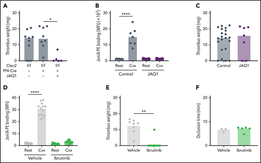 Platelet ITAM receptor signaling is critical for VT but not AT. (A) WT or Clec2mKO mice were treated with JAQ1 antibody to deplete GPVI from circulating platelets. Thrombus weight was determined after 48 hours of IVC flow restriction. (B) Integrin activation response (JON/A-PE binding) after convulxin (Cvx) stimulation of platelets isolated from untreated or JAQ1-treated WT mice. (C) Thrombus weights after 48 hours of IVC stenosis in untreated (control) or JAQ1-treated WT mice. (D) JON/A-PE binding following Cvx stimulation of platelets isolated from dimethyl sulfoxide (vehicle)-treated or ibrutinib-treated WT mice. (E) Thrombus weights after 48 hours of IVC stenosis in vehicle- or ibrutinib-treated WT mice. (F) Vessel occlusion times after FeCl3 treatment for 3 minutes in vehicle- or ibrutinib-treated mice. Dots represent individual mice, bars indicate medians. *P < .05; **P < .01; ****P < .0001.