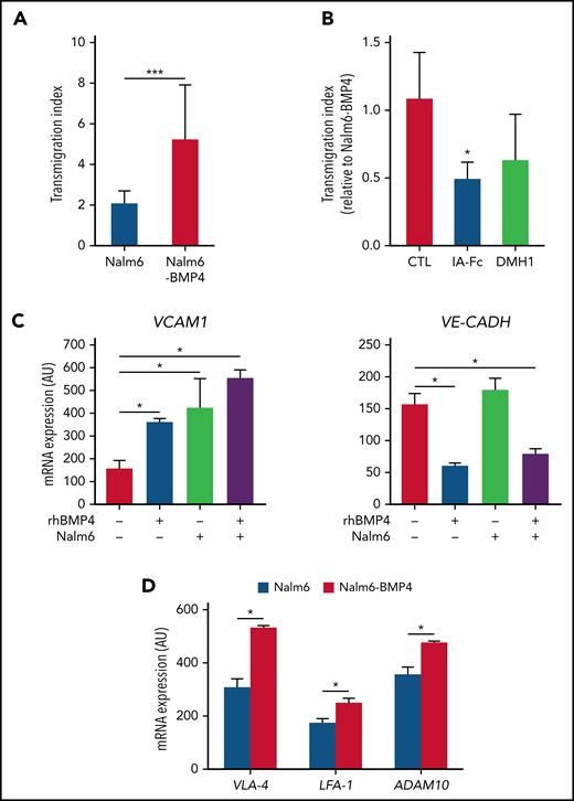 High levels of BMP4 induce changes in adhesion molecule expression favoring leukemia cell migration. (A) Comparison of the migration ability of Nalm6 and Nalm6-BMP4 leukemic cells across monolayers of human brain microvascular endothelial cells in a transwell culture system for 4 hours. Results represent the mean ± standard deviation (SD) of 9 independent experiments (***P ≤ .001; 2-tailed Student t test). (B) The migration ability of Nalm6-BMP4 cells was similarly assayed in the presence of BMP signaling pathway inhibitors, BMPRIA-Fc chimera protein (IA-Fc), and DMH1 (*P ≤ .05; 2-tailed Student t test). (C) qRT-PCR quantification of mRNA levels of VCAM-1 and VE-cadherin in human brain microvascular endothelial cells in the presence or absence of rhBMP4 with or without ALL cells. Results represent the mean ± SD of 4 independent experiments (*P ≤ .05; 2-tailed Mann-Whitney U test). (D) qRT-PCR quantification of mRNA levels of VLA-4 and LFA-1 integrins and ADAM10 in leukemic cells recovered from spleens of mice (n = 5) transplanted with Nalm6 or Nalm6-BMP4 cells (*P ≤ .05; 2-tailed Mann-Whitney U test).