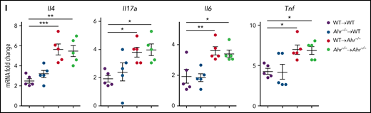 Inhibition of host AHR activation exacerbates IPS. (A-B) B6 mice that received TCD BM cells, and T cells of BALB/c mice were intraperitoneally injected with CH-223191 (10 mg/kg) every day from day 3 through day 8. Lungs were harvested on day 9. (A) Ido1, Ahr, and Cyp1b1 expression were measured by real-time polymerase chain reaction (PCR). (B) Cyp1b1 expression was measured in isolated CD4+ T cells and lung epithelial cells by real-time PCR. (C-G) B6.WT or B6.Ahr−/− mice received TCD BM cells and T cells of BALB/c mice. Lungs were harvested on day 9. (C) Cyp1b1 expression was measured in isolated CD90+ T cells and CD90− non-T cells of B6.Ahr−/− mice by real-time PCR. (D) Representative images (×200; left) and histopathologic scoring (right). (E) Levels of cytokine messenger RNA (mRNA) were measured in whole lungs by real-time PCR. (F-G) Single-cell suspensions of lung tissue were stimulated with anti-CD3/CD28 for 3 hours for fluorescence-activated cell sorting analysis or 24 hours for harvesting culture supernatant (n = 5 per group). (F) Staining of CD4 and IL-17A or FoxP3 were performed, and ratio of IL-17A+/FoxP3+ CD4+ T cells was obtained (n = 5 per group). (G) Concentrations of IL-17A and IL-10 were measured in culture supernatant. (H-I) Mixed chimeric mice were generated by transplanting B6.WT or B6.Ahr−/− BM into lethally irradiated B6.WT or B6.Ahr−/− mice. After 2 months, the chimeric mice received TCD BM cells and T cells of BALB/c mice. Lungs were harvested on day 9 (n = 5 per group). (H) Representative images (200×; left) and histopathologic scoring (right). (I) Levels of cytokine mRNA were measured by real-time PCR. Results are representative of 2 (B-C,H-I) or 3 independent experiments with similar results. Data represent mean ± standard error of the mean. Nonparametric Mann-Whitney U test (A-G) and 1-way analysis of variance (H-I) were performed. *P < .05, **P < .01, ***P < .001.