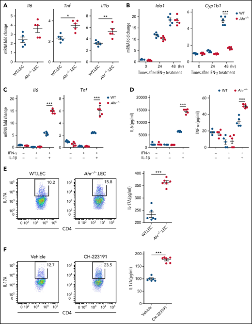Regulation of gene expression by AHR is cell intrinsic in lung epithelial cells. (A) Lethally irradiated B6.WT or B6.Ahr−/− mice were injected with TCD BM cells plus T cells from BALB/c mice. Lung epithelial cells were isolated on day 9 (n = 5 per group). Cytokine messenger RNA (mRNA) levels were measured by real-time polymerase chain reaction (PCR). (B-D) Lung epithelial cells were isolated from naïve B6.WT or B6.Ahr−/− mice and stimulated with IFN-γ. (B) Levels of Ido1 and Cyp1b1 expression were measured by real-time PCR. (C-D) Lung epithelial cells were treated with IL-1β after 48-hour stimulation with IFN-γ. (C) Levels of cytokine mRNA were measured using real-time PCR. (D) Cytokine levels in cell culture supernatants were measured using the mouse Flex-Set cytokine bead array. (E-F) Mouse splenic (E) or human peripheral (F) CD4+ T cells were preactivated with anti-CD3/CD28 and IL-2 for 48 hours and then reactivated in the presence of combined IL-23, TGF-β, and conditioned media of WT or Ahr−/− lung epithelial cells (E) or A549 cells treated with or without CH-223191 (F). Lung epithelial cells and A549 cells were cultured as described in panel C. Representative dot plots for IL-17A+CD4+ T cells and concentrations of culture supernatant are presented. IL-17A in cell culture supernatants was measured using the mouse Flex-Set cytokine bead array. Results are representative of 2 (E-F) or 3 independent experiments with similar results. Data represent mean ± standard error of the mean. Nonparametric Mann-Whitney U test (A), 2-way analysis of variance (B-D), and 2-tailed Student t test (E-F) were performed. *P < .05, **P < .01, ***P < 0.001.