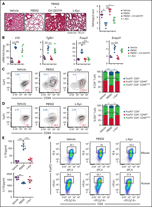 Therapeutic effects of PB502 on IPS. (A-D) Lethally irradiated B6.WT mice were injected with BALB/c.Ifng−/− T cells and BALB/c.WT TCD BM cells. (A-C) Recipients were intraperitoneally injected with PB502 (20 mg/kg) or L-Kyn (100 mg/kg) with or without CH-223191(10 mg/kg) each day from day 3 through day 8. Lungs were harvested on days 14 (A-B) and 21 (C). (A) Representative image of hematoxylin and eosin staining (×200; left) and pathologic scoring (right; n = 5 per group). (B) Levels of cytokine messenger RNA (mRNA; n = 5 per group). (C) Lung cells were stained for CD4, CD44, and Foxp3 and assessed by flow cytometry. Representative dot plots for Foxp3+ or CD44hi cells on gated CD4+ T cells (left) and composition of Foxp3+CD4+, Foxp3−CD44hiCD4+, and CD44int/loCD4+ T cells (right; n = 3-5 per group). (D-E) Recipient mice were intraperitoneally injected with PB502 (20 mg/kg) or L-Kyn (100 mg/kg) each day from day 7 through day 12. Lungs were harvested on day 27. (D) Data were analyzed and presented as described in panel C. (E) Isolated CD4+ T cells were restimulated with anti-CD3/CD28 for 24 hours, and the concentration of IL-10 and IL-17A was measured in the cell culture supernatants (n = 6 per group). (F) Naïve CD4+ T cells isolated from B6 splenocytes or human peripheral blood mononuclear cells were cultured under Treg differentiation conditions (anti-CD3/CD28, IL-2, and TGF-β) with PB502 (1 μM) or L-Kyn (100 μM) for 3 (mouse cells) or 5 days (human cells). Representative dot plots for Foxp3+CD4+ T cells are presented. (G-H) Naïve CD4+ T cells were cultured under Th17 differentiation conditions (anti-CD3/CD28, IL-6, TGF-β, IL-23, anti–IFN-γ, and anti–IL-4 for mouse cells and anti-CD3/CD28, TGF-β, IL-1β, and IL-23 for human cells) with PB502 (1 μM) or L-Kyn (100 μM) for 3 (mouse cells) or 5 days (human cells). (G) Representative dot plots for Foxp3+CD4+ T cells. (H) Concentrations of IL-10 in cell culture supernatants of mouse cells. (I) Lethally irradiated B6 mice were injected with BALB/c.Ifng−/− T cells (2 × 106) and BALB/c.WT TCD BM cells (1 × 107). Recipients were intraperitoneally injected with PB502 (20 mg/kg) or L-Kyn (100 mg/kg) each day from day 3 through day 16. Survival rates are presented at the left and clinical GVHD scores at the right. Results are representative of at least 3 independent experiments with similar results. Data represent mean ± standard error of the mean. One- or 2-way analysis of variance (A-H) and Mantel-Cox log-rank test (I) were performed. *P < .05, **P < .01, ***P < .001.
