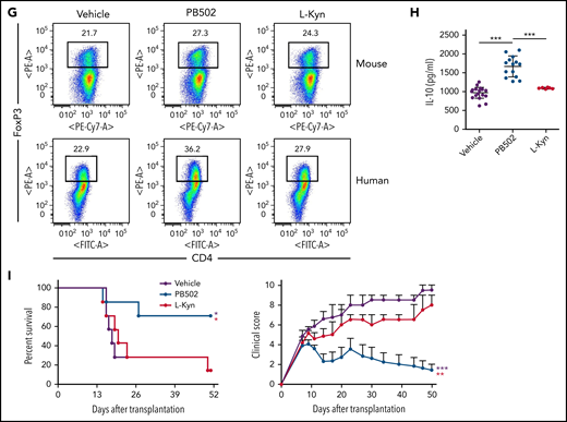 Therapeutic effects of PB502 on IPS. (A-D) Lethally irradiated B6.WT mice were injected with BALB/c.Ifng−/− T cells and BALB/c.WT TCD BM cells. (A-C) Recipients were intraperitoneally injected with PB502 (20 mg/kg) or L-Kyn (100 mg/kg) with or without CH-223191(10 mg/kg) each day from day 3 through day 8. Lungs were harvested on days 14 (A-B) and 21 (C). (A) Representative image of hematoxylin and eosin staining (×200; left) and pathologic scoring (right; n = 5 per group). (B) Levels of cytokine messenger RNA (mRNA; n = 5 per group). (C) Lung cells were stained for CD4, CD44, and Foxp3 and assessed by flow cytometry. Representative dot plots for Foxp3+ or CD44hi cells on gated CD4+ T cells (left) and composition of Foxp3+CD4+, Foxp3−CD44hiCD4+, and CD44int/loCD4+ T cells (right; n = 3-5 per group). (D-E) Recipient mice were intraperitoneally injected with PB502 (20 mg/kg) or L-Kyn (100 mg/kg) each day from day 7 through day 12. Lungs were harvested on day 27. (D) Data were analyzed and presented as described in panel C. (E) Isolated CD4+ T cells were restimulated with anti-CD3/CD28 for 24 hours, and the concentration of IL-10 and IL-17A was measured in the cell culture supernatants (n = 6 per group). (F) Naïve CD4+ T cells isolated from B6 splenocytes or human peripheral blood mononuclear cells were cultured under Treg differentiation conditions (anti-CD3/CD28, IL-2, and TGF-β) with PB502 (1 μM) or L-Kyn (100 μM) for 3 (mouse cells) or 5 days (human cells). Representative dot plots for Foxp3+CD4+ T cells are presented. (G-H) Naïve CD4+ T cells were cultured under Th17 differentiation conditions (anti-CD3/CD28, IL-6, TGF-β, IL-23, anti–IFN-γ, and anti–IL-4 for mouse cells and anti-CD3/CD28, TGF-β, IL-1β, and IL-23 for human cells) with PB502 (1 μM) or L-Kyn (100 μM) for 3 (mouse cells) or 5 days (human cells). (G) Representative dot plots for Foxp3+CD4+ T cells. (H) Concentrations of IL-10 in cell culture supernatants of mouse cells. (I) Lethally irradiated B6 mice were injected with BALB/c.Ifng−/− T cells (2 × 106) and BALB/c.WT TCD BM cells (1 × 107). Recipients were intraperitoneally injected with PB502 (20 mg/kg) or L-Kyn (100 mg/kg) each day from day 3 through day 16. Survival rates are presented at the left and clinical GVHD scores at the right. Results are representative of at least 3 independent experiments with similar results. Data represent mean ± standard error of the mean. One- or 2-way analysis of variance (A-H) and Mantel-Cox log-rank test (I) were performed. *P < .05, **P < .01, ***P < .001.