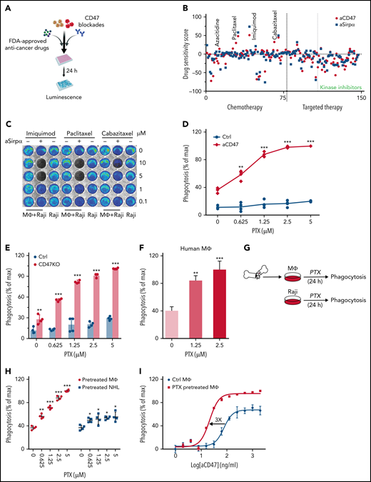Paclitaxel was identified as an agent potentiating CD47 blockade–mediated phagocytosis through macrophages. (A) A schematic showing the high-throughput screening strategy for identifying agents to enhance CD47 blockade-induced phagocytosis. (B) LB-LTMK high-throughput screens of 147 FDA-approved anticancer small molecule compounds; Raji cells were treated with antibodies blocking CD47-Sirpα interaction (anti-CD47 or anti-Sirpα) and subjected to the LB-LTMK assay; phagocytosis was normalized to dimethyl sulfoxide control; spots represent individual compounds. (C) Representative bioluminescence images of the LB-LTMK assay evaluating the effect of imiquimod, cabazitaxel, and paclitaxel on aSirpα-mediated phagocytosis with Raji cells equipped with luciferase-eGFP as the target cells; BMDMs were used for the assay. (D) Paclitaxel potentiated the effect of CD47 blocking antibody-mediated phagocytosis in a dose-dependent manner. **P < .01; ***P < .001 (1-way ANOVA test). (E) Paclitaxel dose-dependently enhanced phagocytosis of CD47-deficient Raji cells. **P < .01; ***P < .001 (1-way ANOVA test). (F) Paclitaxel enhanced aCD47-mediated phagocytosis of Raji cells by human peripheral blood monocyte-derived macrophages with a luminescence-based phagocytosis assay. **P < .01; ***P < .001 (1-way ANOVA test). (G) A schematic showing the experimental design to evaluate the effect of paclitaxel on BMDMs or Raji cells in enhancing phagocytosis; phagocytosis assays were performed using paclitaxel-treated BMDMs and untreated Raji cells or paclitaxel-treated Raji cells and untreated BMDMs. (H) Pretreatment of BMDMs with paclitaxel significantly enhanced aCD47-mediated phagocytosis of Raji cells. *P < .05; **P < .01; ***P < .001 (1-way ANOVA test). (I) Paclitaxel enhanced the potency of aCD47-mediated phagocytosis of Raji cells by shifting EC50 from 76.48 ng/mL to 21.26 ng/mL and the maximal capacity of aCD47 from clearing 75% of cancer cells within 24 hours to nearly 100% clearance.