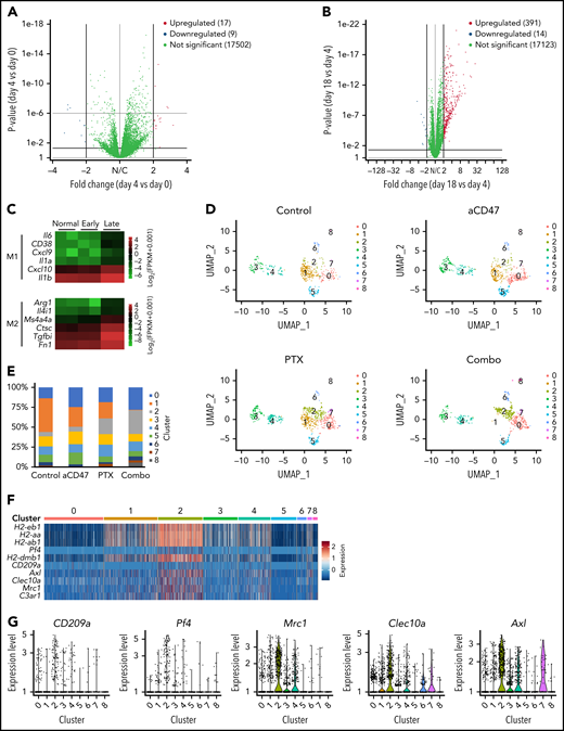 Paclitaxel induced phagocytosis-capable TAM populations. (A-B) Volcano plots showing gene expression of BM macrophages from Raji-engrafted RAG2−/−γc−/− mice at day 0 (normal), day 4 (early), or day 18 (late) of engraftment. Panels A and B showed the comparison of differential gene expression of day 4 vs day 0 (A) and day 18 vs day 4 (B). (C) Heatmap of M1- and M2-like macrophage marker expression in BM macrophages from Raji-engrafted RAG2−/−γc−/− mice at day 0 (normal), day 4 (early) or day 18 (late) of engraftment. (D) UMAP plots of scRNAseq of BM macrophages from Raji-engrafted RAG2−/−γc−/− mice treated with control vehicle, aCD47, nab-paclitaxel, or a combination of aCD47 and nab-paclitaxel. (E) Percentages of cells in clusters 0 to 8 analyzed in panel D. (F) Heatmap of representative genes specifically expressed in cluster C2 from scRNAseq clustered in panel D. (G) Expression of genes Pf4, CD209a, Mrc1, Clec10a, and Axl from scRNAseq clustered in panel D. (H) Immunoblots showing the phosphorylation of protein kinases SFK, BTK, MEK, and PI3K in BMDMs during phagocytosis of Raji cells induced by aCD47. (I) A phagocytosis assay with BMDMs and Raji cells; CD47-blocking antibody was given to all conditions; BMDMs were treated with kinase inhibitors as indicated in the figure. ***P < .001 (1-way ANOVA test). (J) Immunoblots showing Src phosphorylation induced by paclitaxel in human THP1 macrophages and mouse BMDMs. UMAP, Uniform Manifold Approximation and Projection.