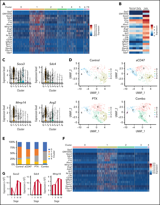 A combination of paclitaxel and aCD47 remodeled TME of lymphoma by preventing the accumulation of TAM population specifically present in late-stage NHL. (A) Heatmap of representative genes specifically expressed in cluster C1 from scRNAseq clustered in Figure 5D. (B) Heatmap of genes in panel A in BM macrophages from Raji-engrafted RAG2−/−γc−/− mice at day 0 (normal), day 4 (early), or day 18 (late) of engraftment, analyzed by RNAseq. (C) Expression of genes Socs3, Sdc4, Mmp14, and Arg2 from scRNAseq clustered in Figure 5D. (D) UMAP plots of scRNAseq of BM macrophages from Raji-engrafted RAG2−/−γc−/− mice treated with control vehicle, aCD47, nab-paclitaxel, or a combination of aCD47 and nab-paclitaxel, analyzed by supervised clustering. (E) Percentages of cells in clusters 0 to 4 analyzed in panel D. (F) Heatmap of genes in panel A from scRNAseq clustered in panel D. (G) Expression of genes Socs3, Sdc4, and Mmp14 in macrophages of a cohort of stage 1 to 4 DLBCL patient biopsies, inferred by CIBERSORT; for biopsies with stages 1, 2, 3, and 4, n = 174, 213, 262, and 429. UMAP, Uniform Manifold Approximation and Projection.
