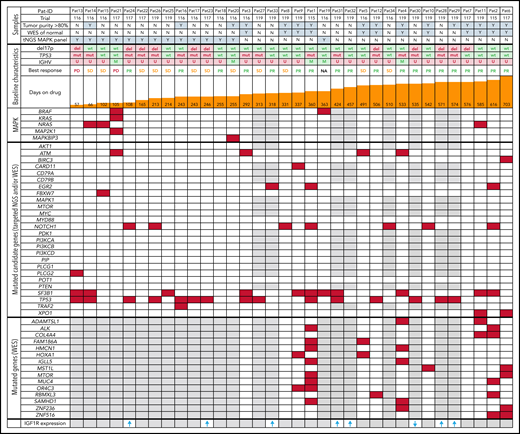 Patient overview and overall genomic landscape of somatic mutations at initiation of idelalisib treatment. Samples are annotated according to tumor purity (≥80% = Y, <80% = N), performed analyses, and baseline characteristics, including treatment duration, best response, and results of central laboratory genetics before treatment initiation (baseline) with idelalisib. Patients are sorted according to treatment duration. Somatic single-nucleotide variants at the time of first sampling are provided for each patient based on WES and/or targeted next-generation sequencing (NGS). Presence of ≥ 1 mutation is marked in red, and wild-type status is marked in white. M, mutated IGHV genes; PD, progressive disease; PR, partial remission; U, unmutated IGHV genes. Gray means that the gene was not covered by any technique. The bottom row provides IGF1R expression change at progression compared with baseline in samples from 8 of the patients, with arrows indicating direction of change and gray indicating that no analysis was performed.