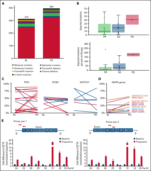 Change of gene mutations and IGF1R expression during idelalisib treatment. (A) Number of somatic mutations at baseline and at time point of progressive disease in patients with available nontumor control. (B) Acquired or expanding mutations as total number (upper panel) or per year of idelalisib treatment (lower panel) per patient in dependence of response. (C) Variant allele frequency at baseline (BL) and at timepoint of PD for single mutations in selected genes. Percentages derive from WES (dark blue) or targeted NGS (light blue) only from patients/samples with tumor cell purity of >80%. (D) Variant allele frequency of MAKP/ERK pathway mutations over time. *MAP3K5 R591H is not detected at baseline. (E) Fold difference in IGF1R expression at time of progression compared with treatment initiation calculated using ΔΔCt method with 2 different primer pairs. Red arrows denote the primer positions in IGF1R gene.