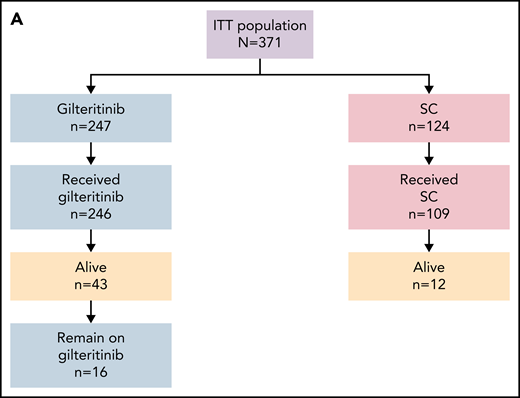 Patient disposition. (A) Disposition according to treatment received. (B) Disposition according to transplantation status: patients remaining alive for ≥2 years without relapse in the gilteritinib arm. (C) Disposition by preselected chemotherapy: patients remaining alive for ≥2 years without relapse in the gilteritinib arm. Due to limited follow-up of patients in the SC arm, data related to posttransplant relapse and survival were not available. ITT, intention-to-treat.